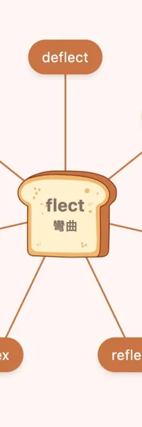 flect 字根