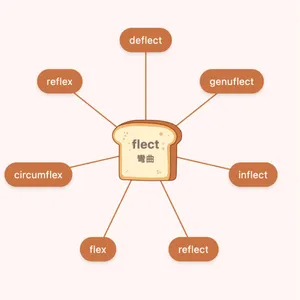 flect 字根