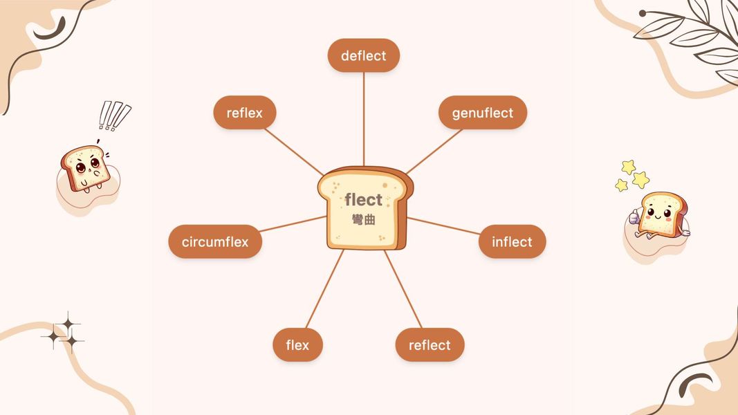 flect 字根