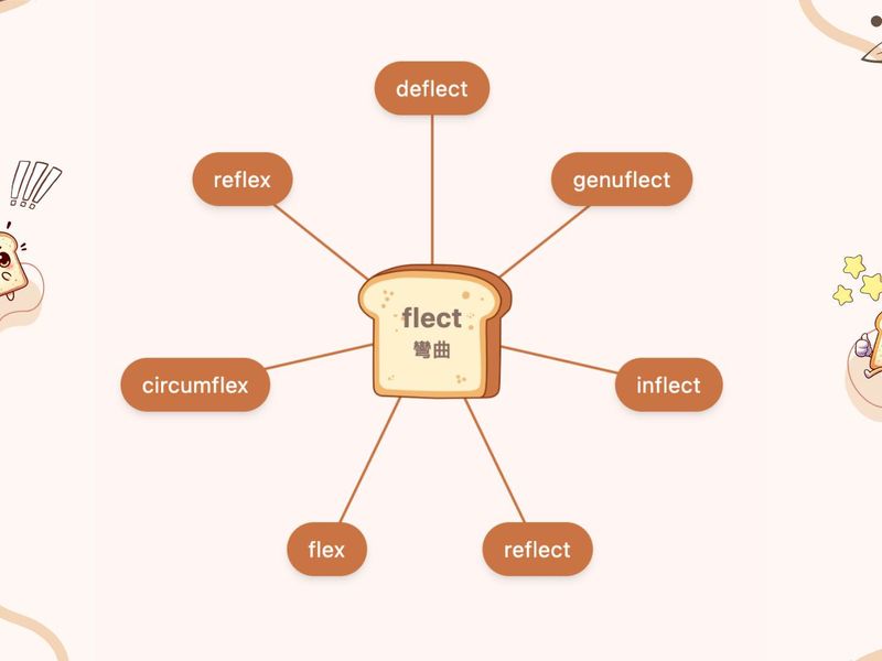 flect 字根